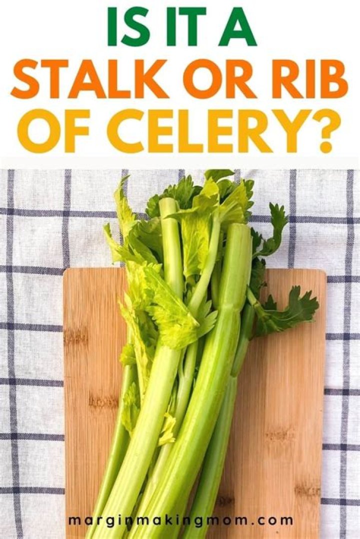 2 stalks celery? here is the answer