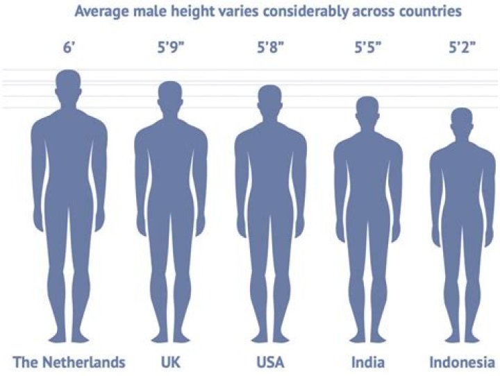 5 3 height in inches? here is the answer