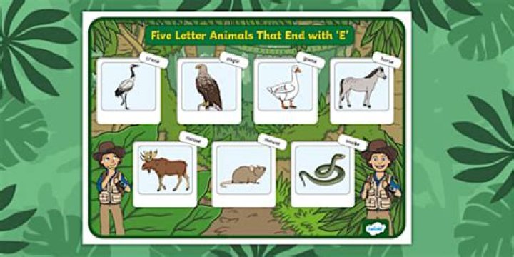 animals that end with e? here is the answer