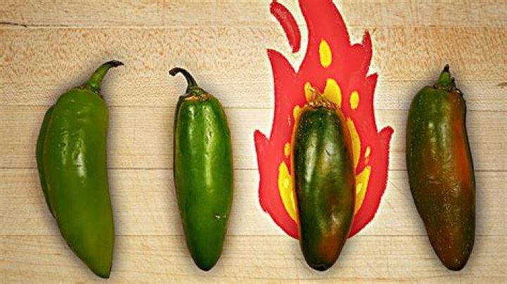 are jalapenos a fruit? here is the answer