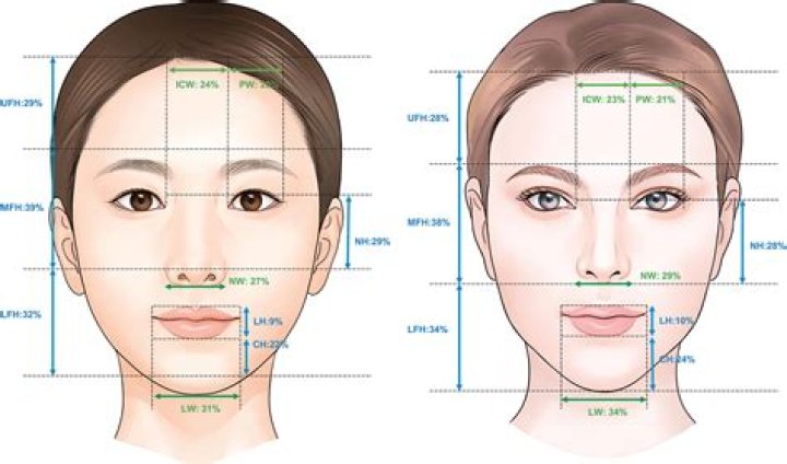 average face length and width female? here is the answer