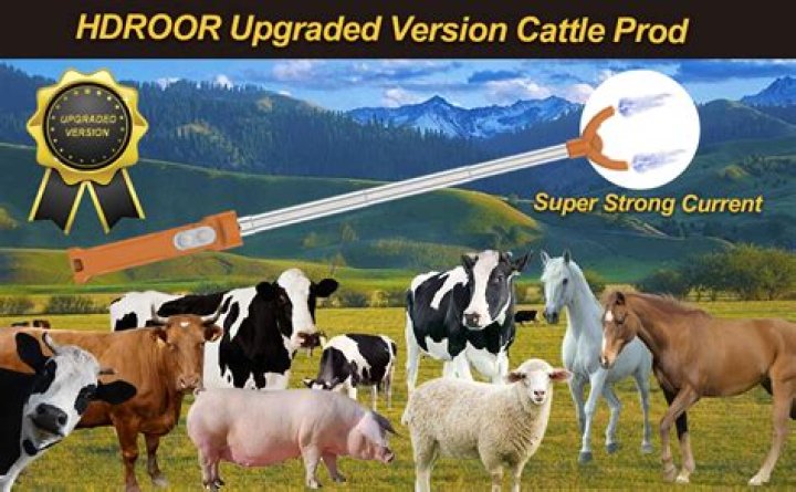 cattle prod voltage? here is the answer