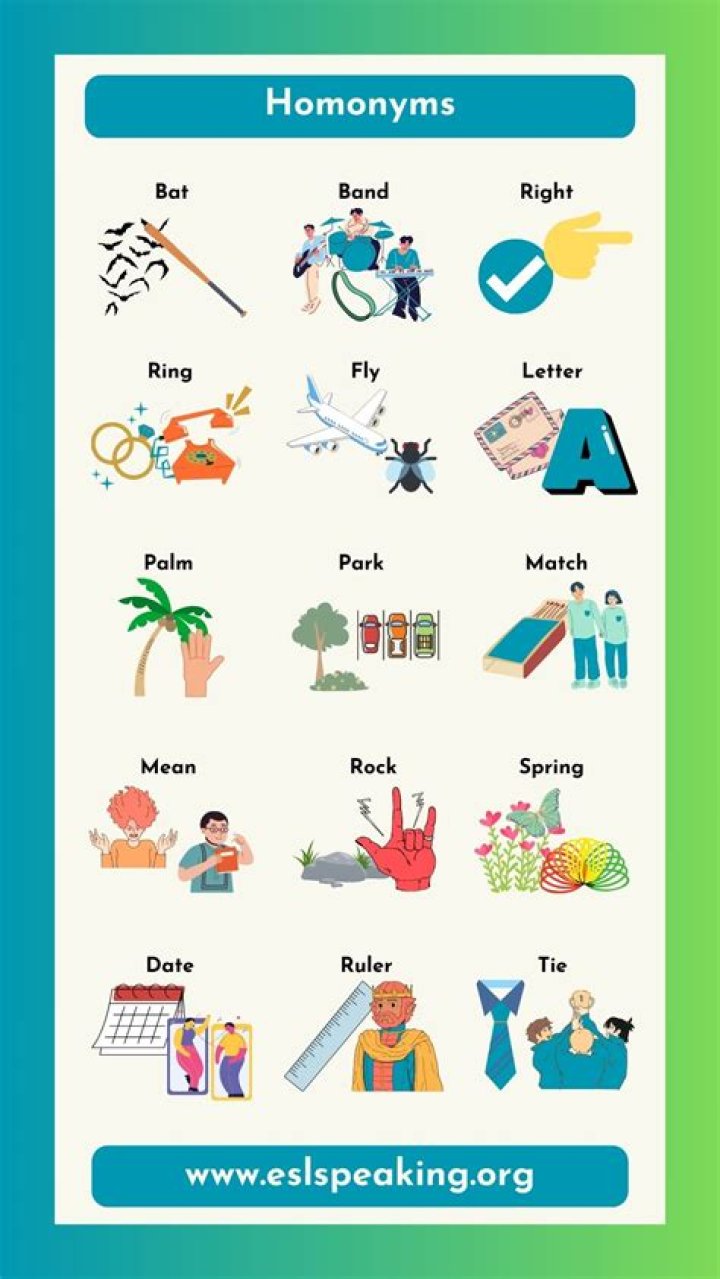 homonym for straight? here is the answer