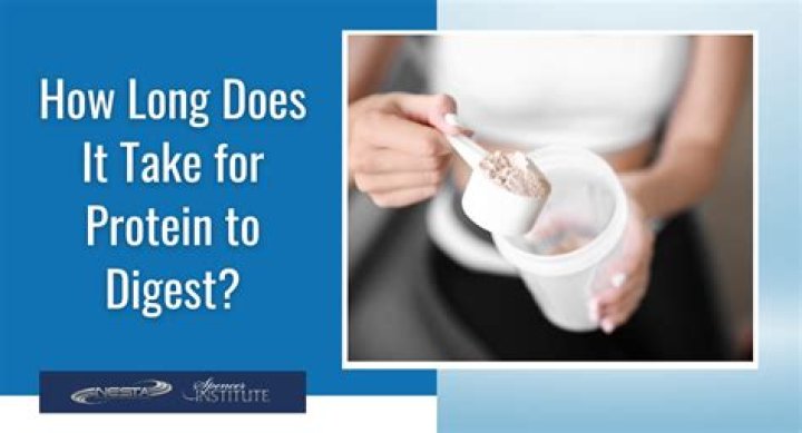 how long does casein protein take to digest? here is the answer