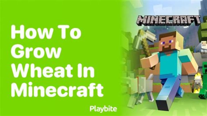 how long does it take wheat to grow in minecraft? here is the answer