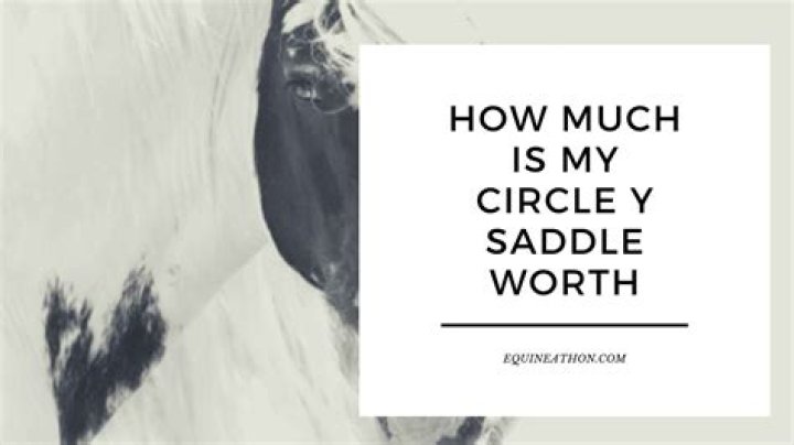 how much is my circle y saddle worth? here is the answer