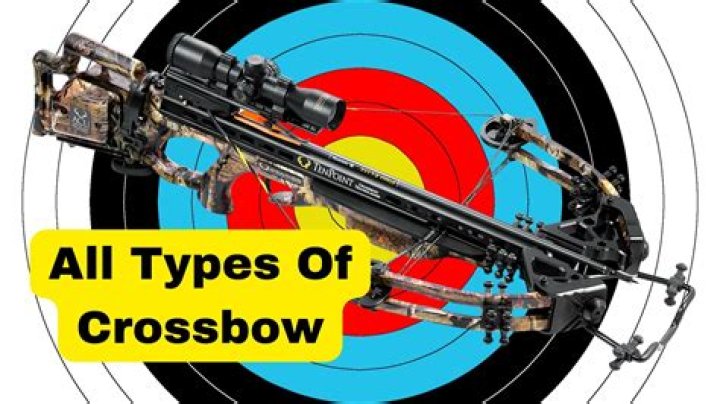 what are the two most common types of crossbows?? here is the answer