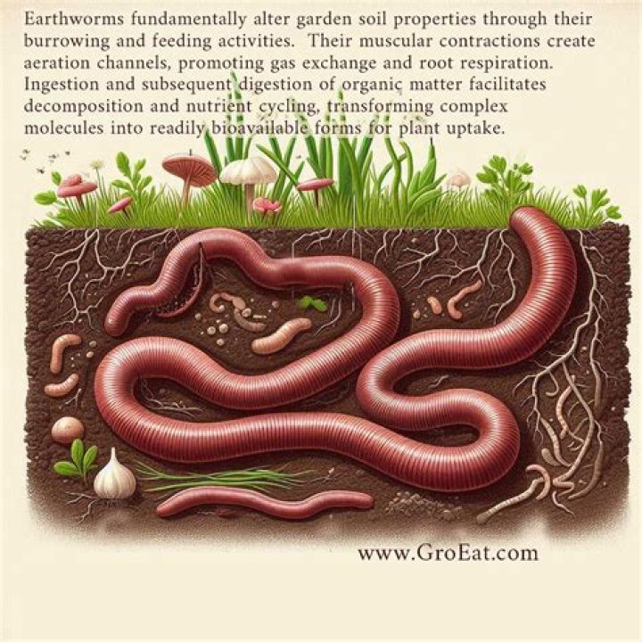 what do earthworms taste like? here is the answer