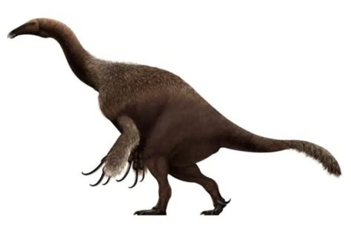 what do therizinosaurus eat? here is the answer