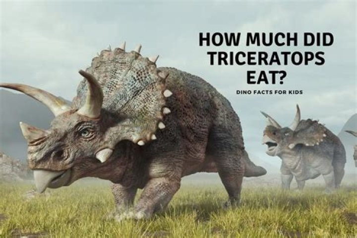 what do triceratops eat ark? here is the answer