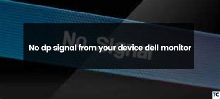 what does no dp signal mean? here is the answer