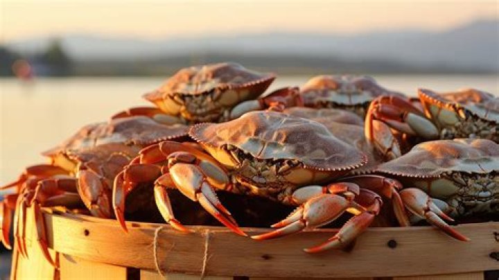 what eats crabs? here is the answer